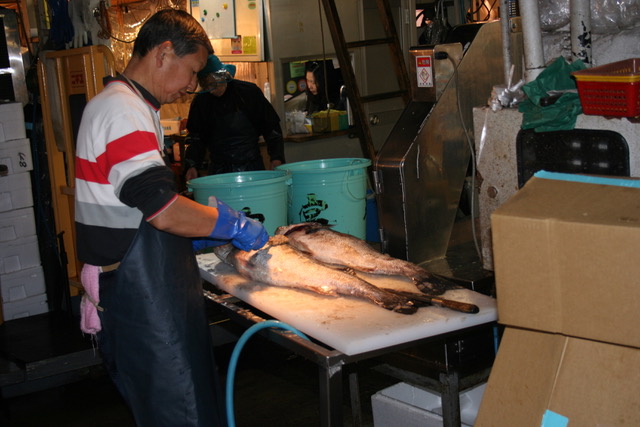 Tsukiji Fish Market