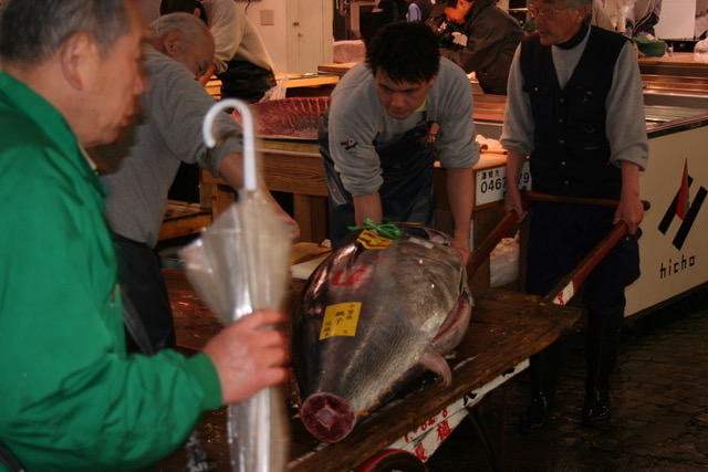 Tsukiji Fish Market
