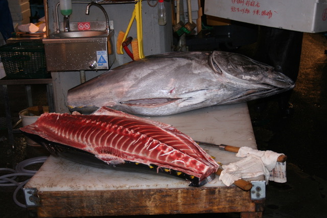 Tsukiji Fish Market