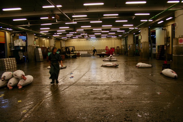 Tsukiji Fish Market