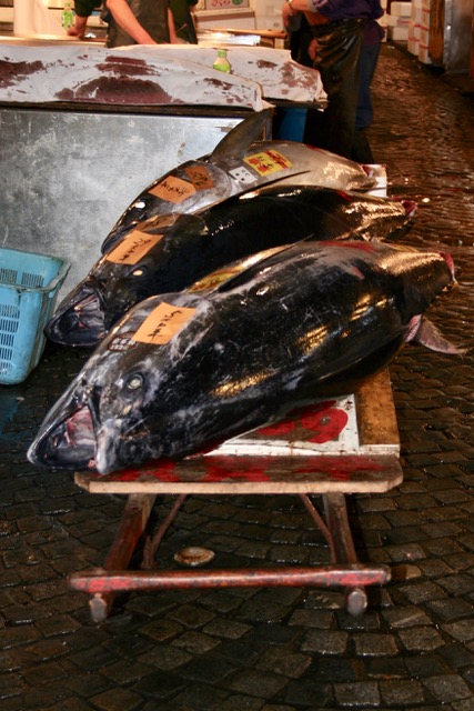 Tsukiji Fish Market