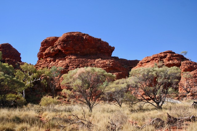 Kings Canyon (19)