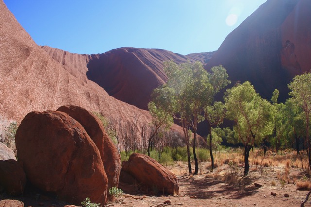 Uluru base walk (73)