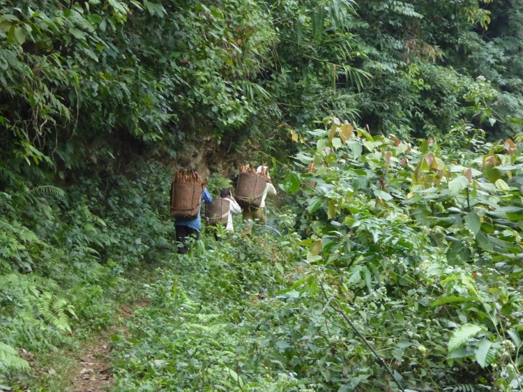 Mai Chau trek
