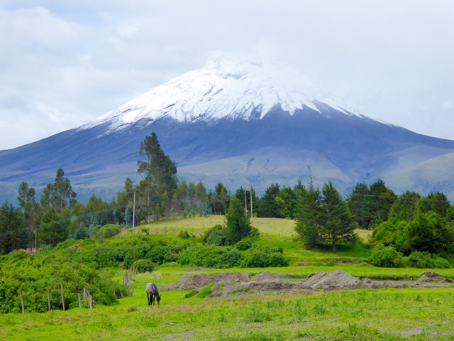 Cotopaxi