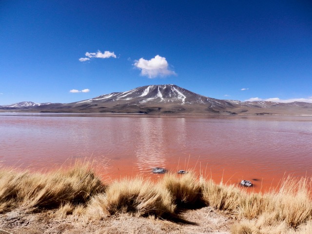 Uyuni