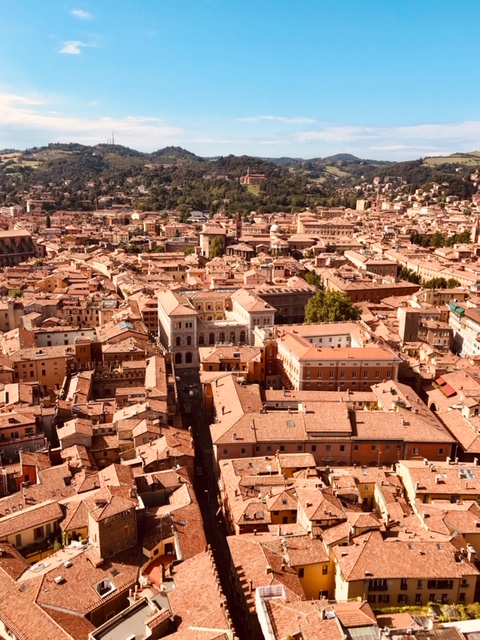 C02B03F0-1639-4BF8-859A-DB692E05B00D