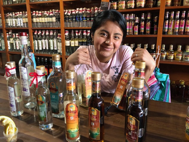 Day trip from Oaxaca - visit a Mezcal distillery 