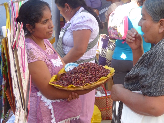Oaxaca Self Guided Food Tour 